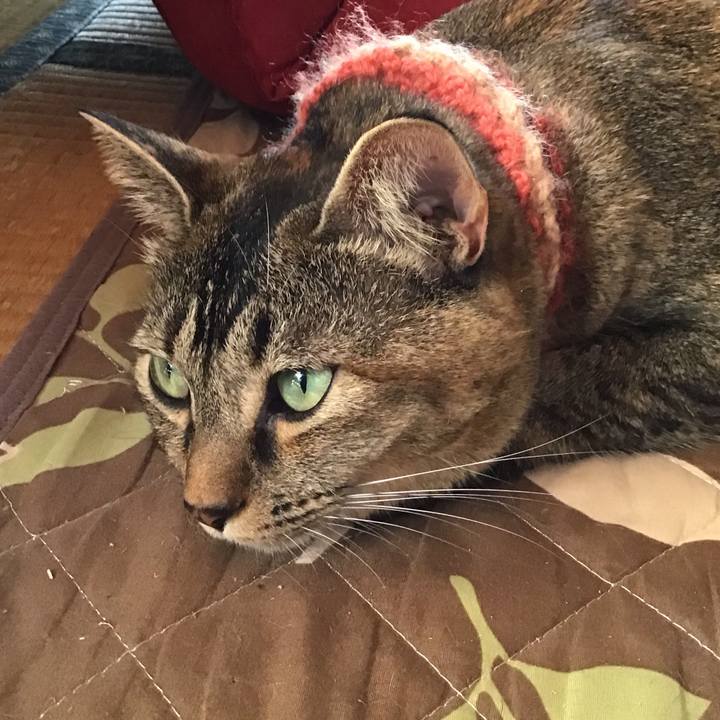 3cb387c1 a8b4 4aef b706 b5d0288269a7 1633406005372