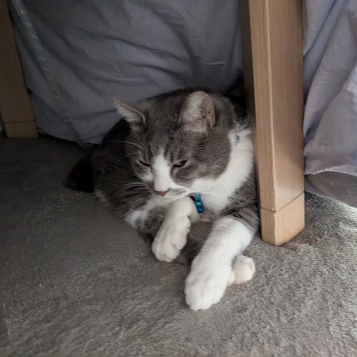 3cb39ed8 e7c6 453d 8d0a ea9d4beb9ea7 1768614069397