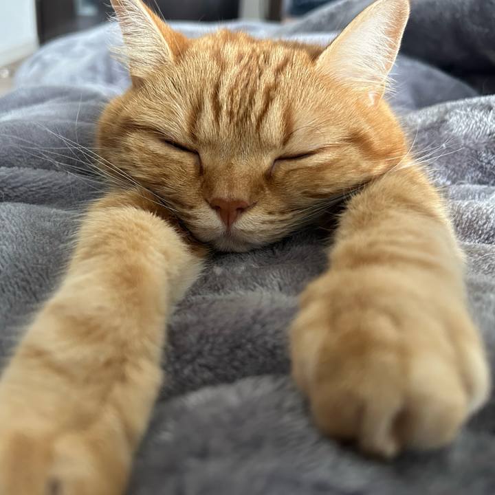 3cb40ba5 c51b 418f a8ef 938d3bc9a4b6 1682213366951