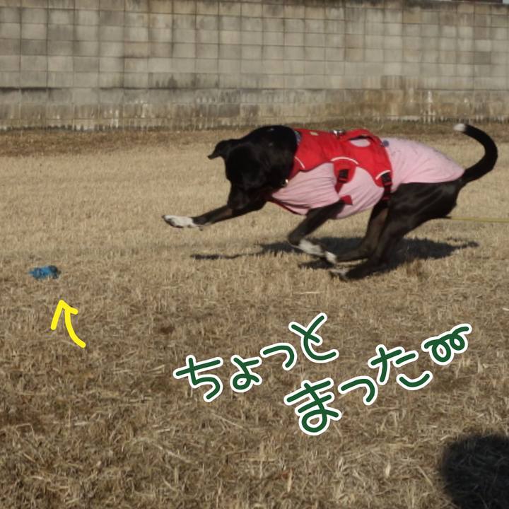 3cb40c46 7163 4162 9c24 d359ace1baa3 1675647197262