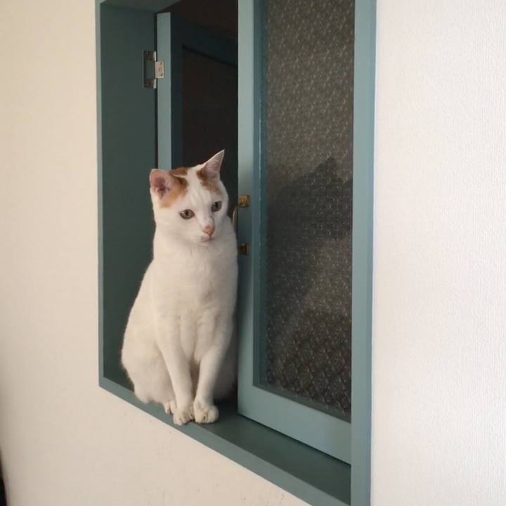 3cb41a73 4ff8 4637 9161 7011d671da0a 1562371671759