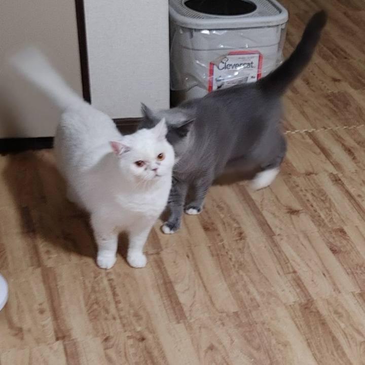 3cb429a9 f06d 4e86 86bd 52a52670e420 1660902534425