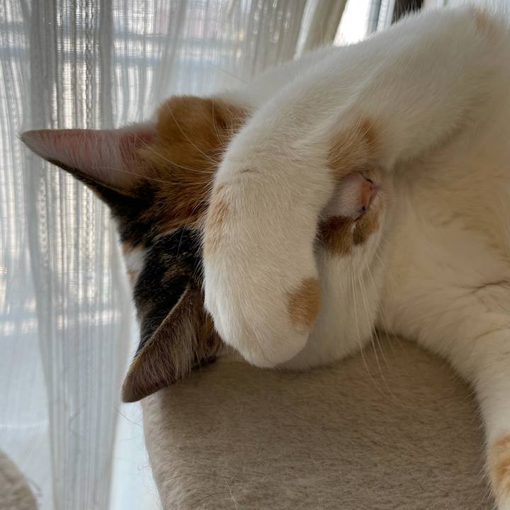 3cb43e48 0136 497f 9202 964eed5a8b17 1606734978183