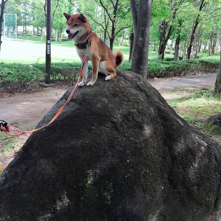 3cb44c9a bf08 4358 810e 4a991a2188ff 1530061833645