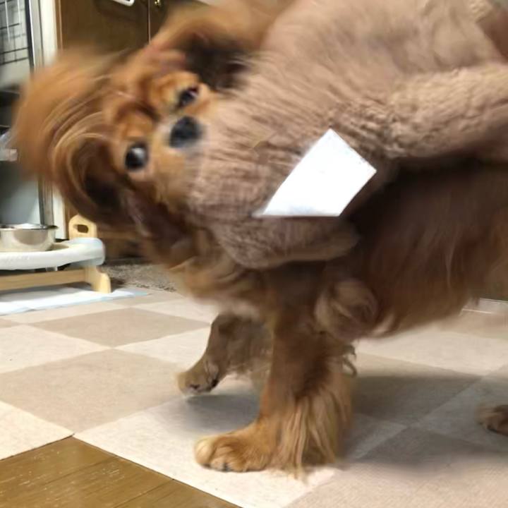 3cb45326 3f45 41a0 a797 475f0d8dbda5 1625177992024