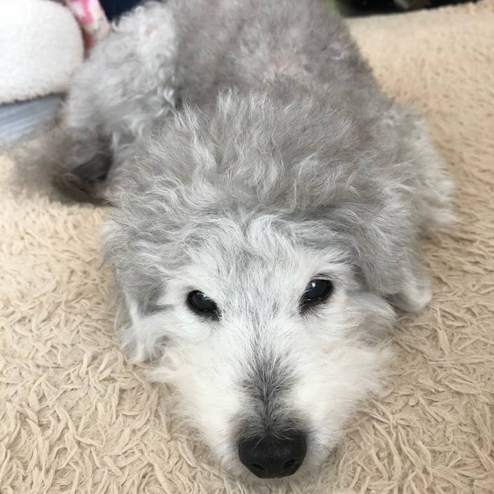 3cb483e6 b8fe 4852 bf39 925123a108cb 1586306866216