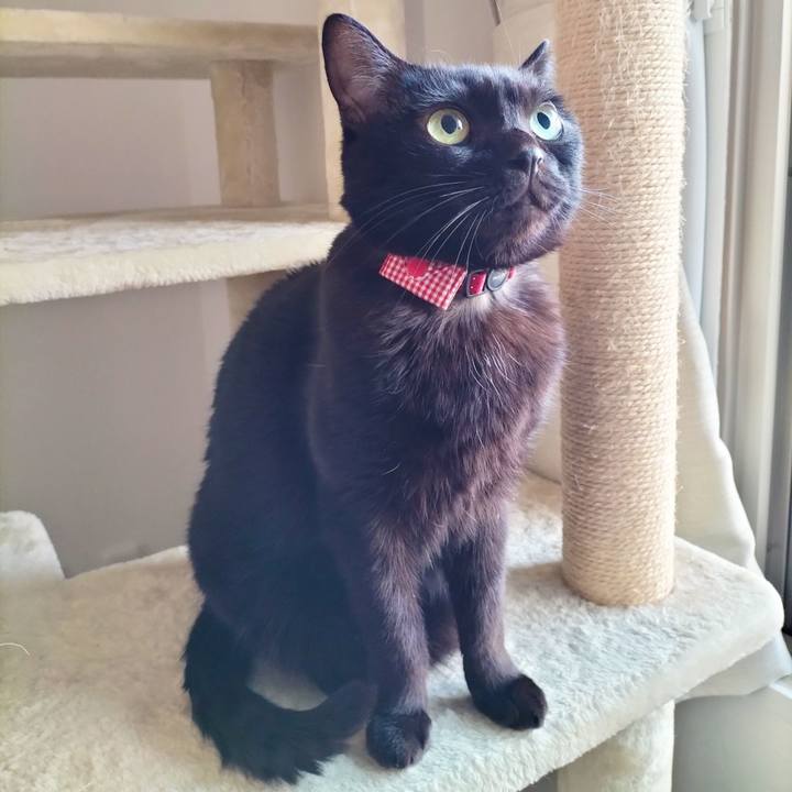 3cb48d2c ee5c 402d a471 c05062771e66 1701901682065