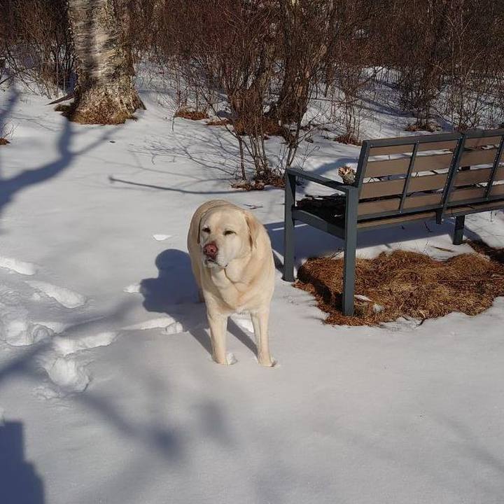 3cb494b5 4df1 4135 828e 75add1f82691 1739366285805