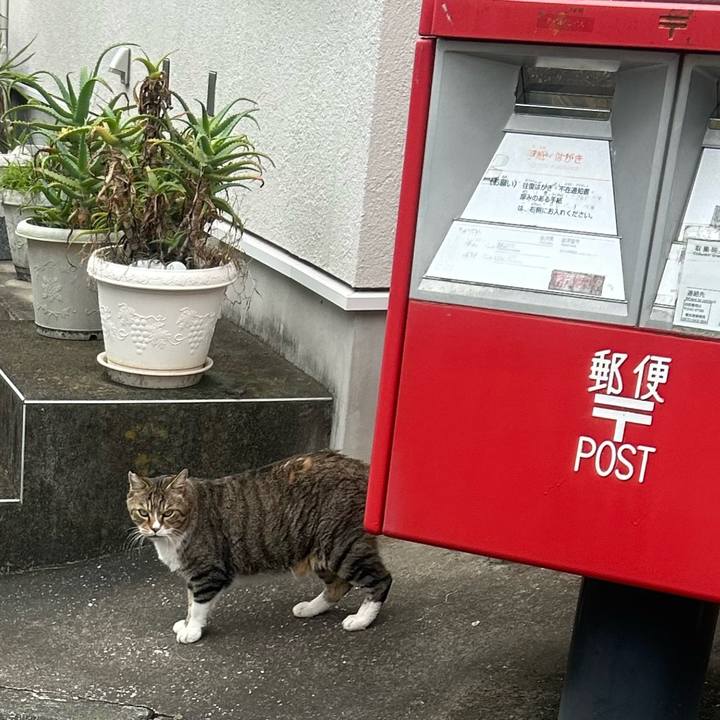 3cb4c0c7 a808 4672 864d 3d50d9edeae8 1761875790774