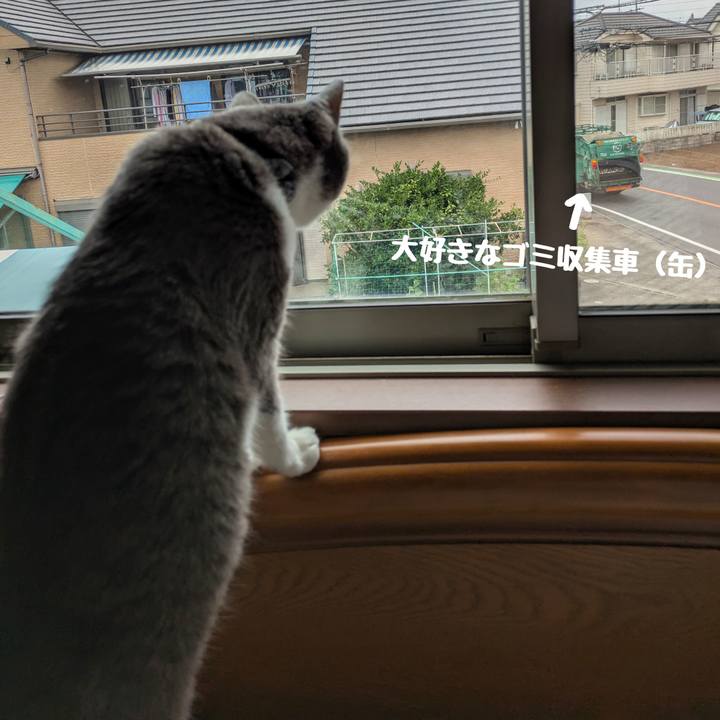 3cb4c641 22da 4757 9fca 0b905878892e 1751590163650