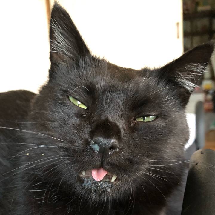 3cb4c774 33fd 4e25 bfd4 099c2cff8db6 1628759302436