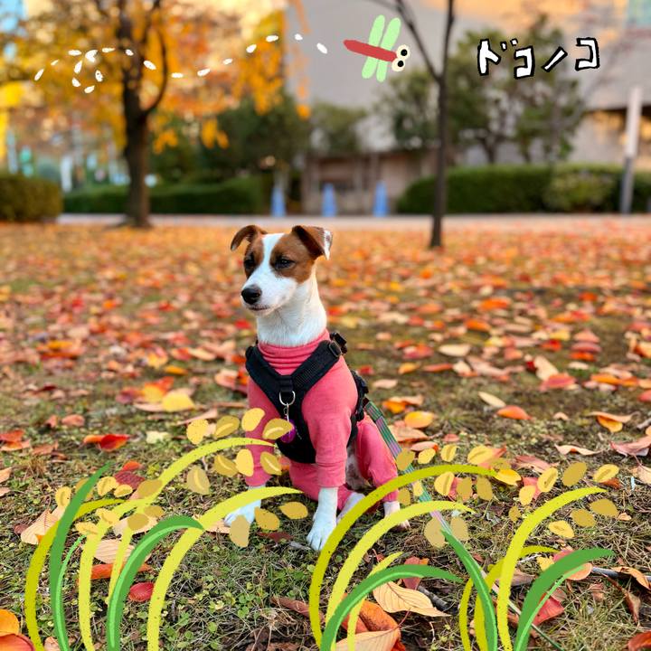 3cb4cac1 27e3 4ee8 adbf c38fffc7d6ef 1764221825456