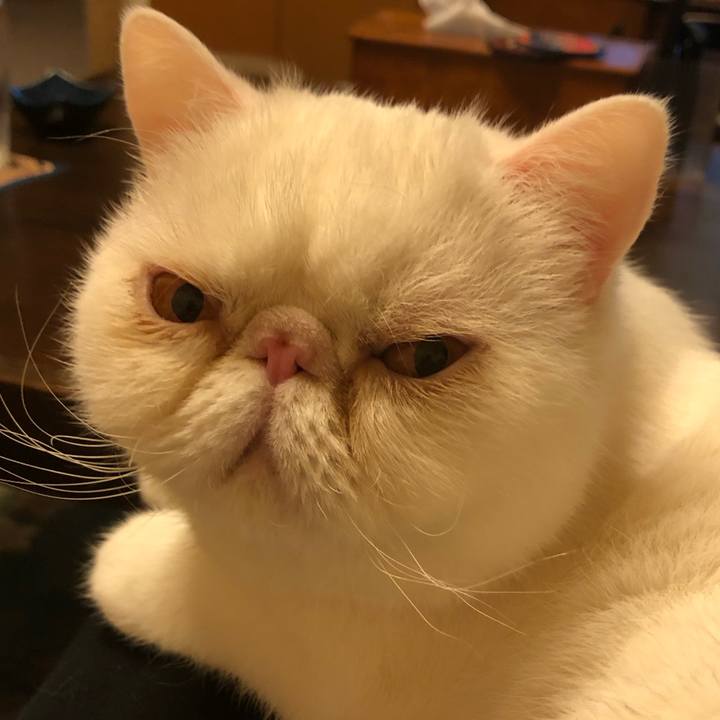 3cb4cfab ef8f 4722 9cc6 04bb258160f6 1673610399509