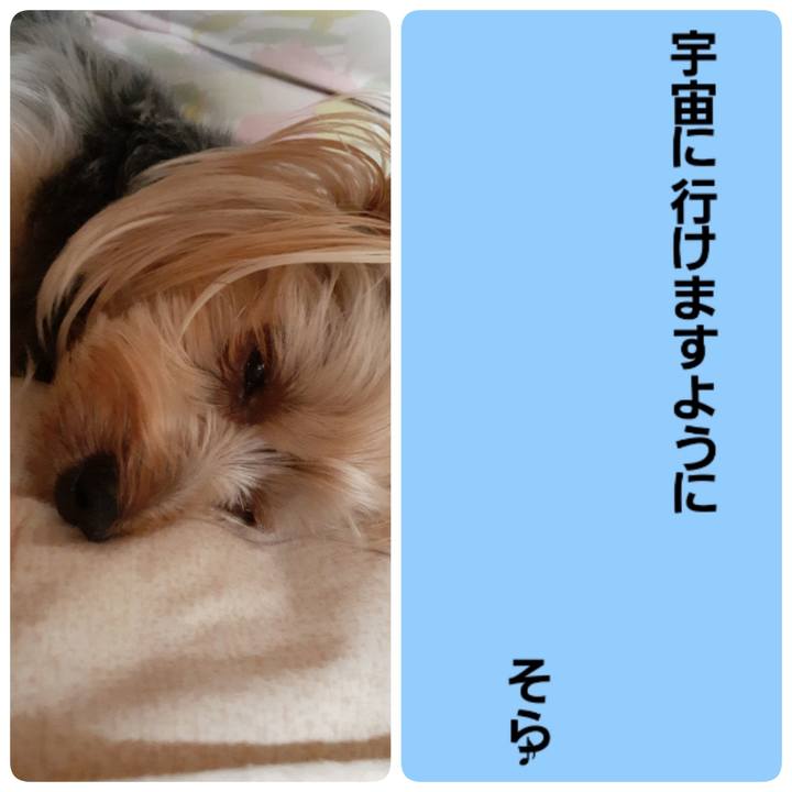 3cb4e3f4 6a12 474a a460 973ead9e8e33 1625660069647