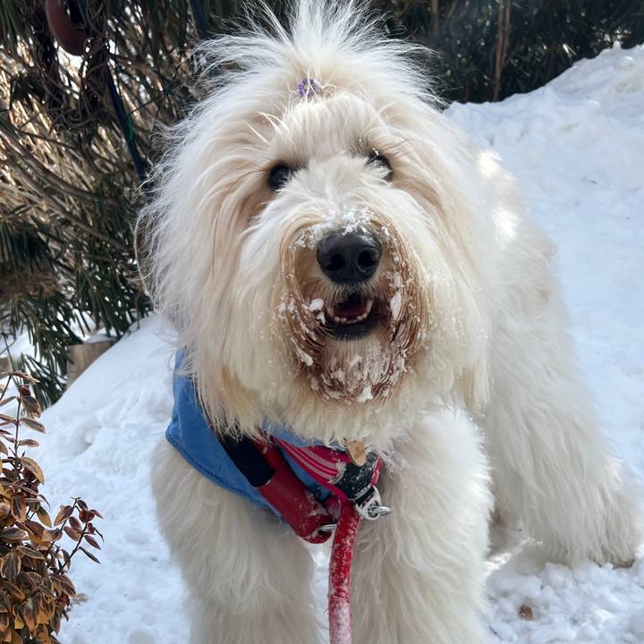 3cb4f3f1 b4bb 4dd0 9ce0 cd9ab4d75b74 1771565866986