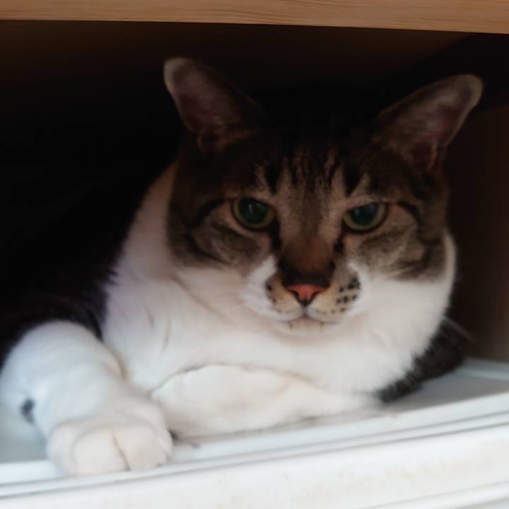 3cb52427 6e92 43d5 be7b 61ceca0f72cb 1623718129456