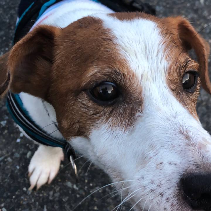 3cb52431 cc97 481f 89f7 eec97b772f67 1661494655254