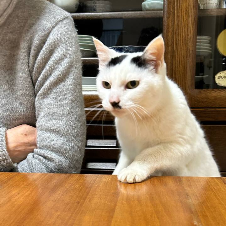 3cb53610 6d49 422a b70c 6f6de24428bc 1771462814171