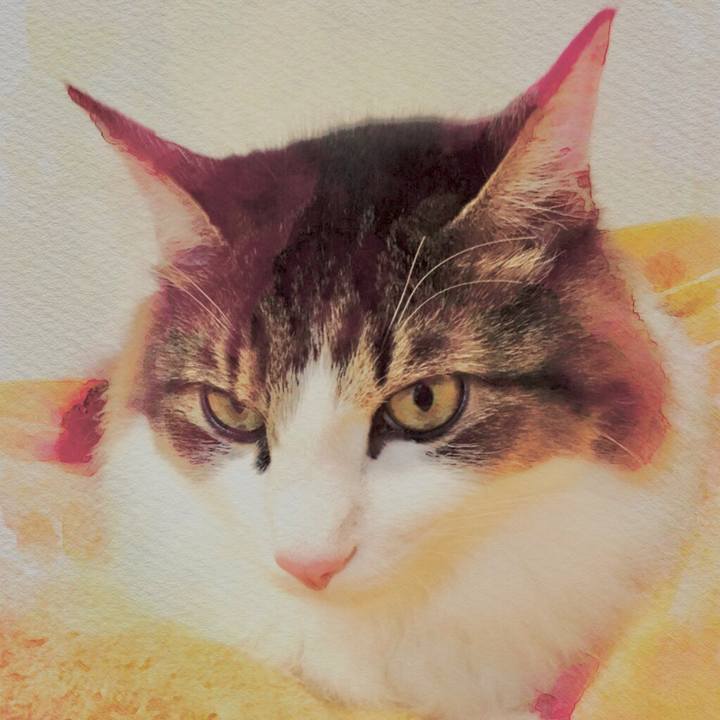 3cb543b8 36e6 4e99 9890 2ec30a7c8e2a 1510534641554