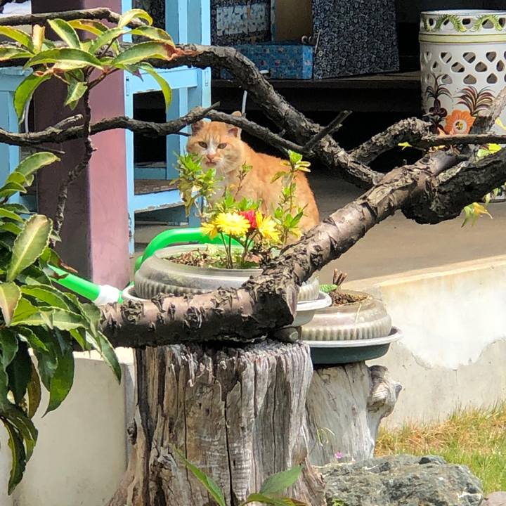 3cb55f2d e76b 4615 b887 f7ea7e546cf0 1588123098212