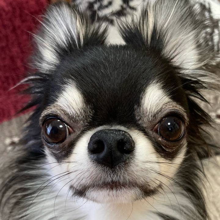 3cb585da b105 4ae9 9cd7 2034eb58d8ae 1617404182761