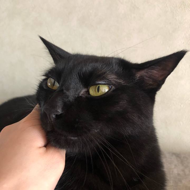 3cb5c055 531a 4b34 a107 67c323c3b285 1565411845481