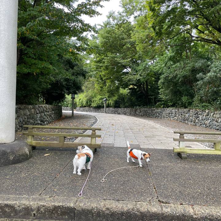 3cb5d845 2760 4216 bfaa 4d636ce3ac2b 1664322831015