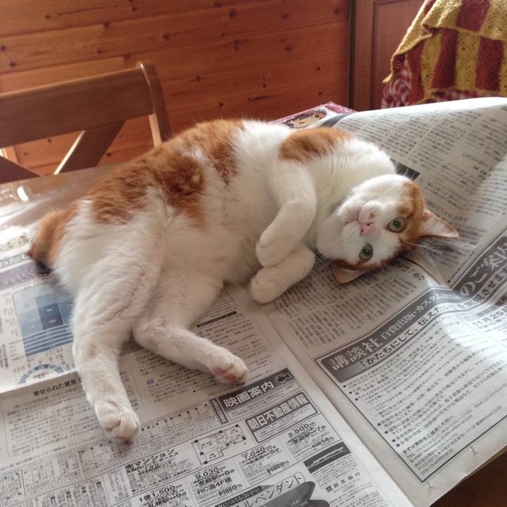 3cb5dba6 144d 44d2 9fad 864d883f3c43 1509236782686