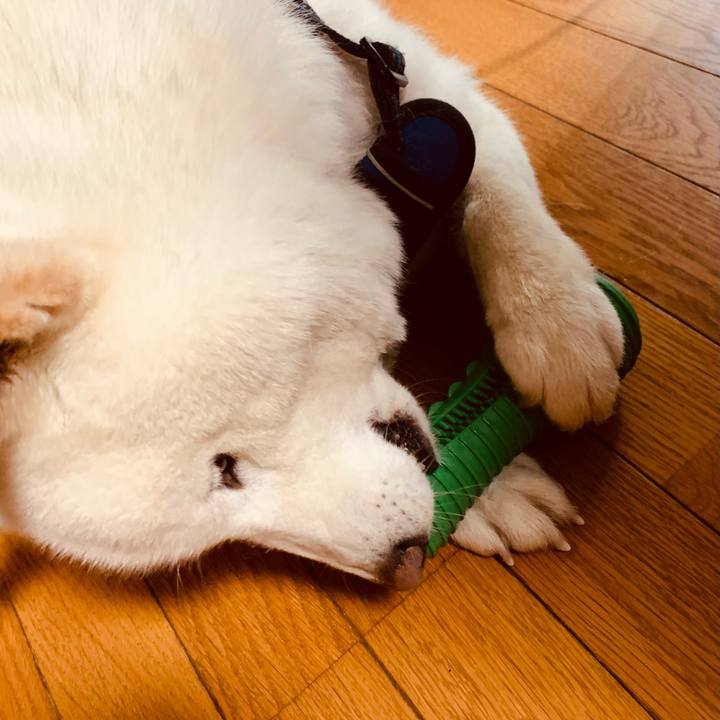 3cb5e67f 02e9 42d5 822a 88b0084073e2 1652478630041