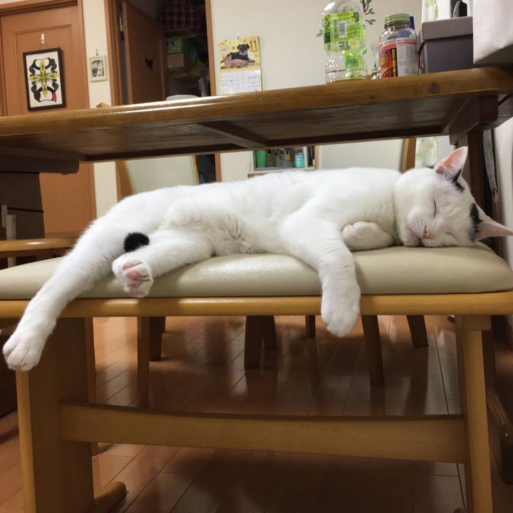 3cb60260 94e5 4f85 a5ab 3a22e4e6baa0 1573043813529