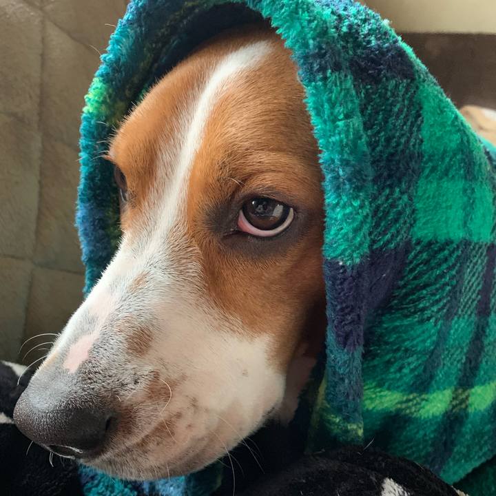 3cb61ec7 a963 4113 a5e8 22d86e81a51c 1547267494925