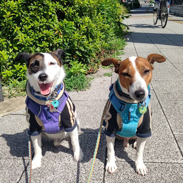 3cb620bb d169 4362 ba28 607fb4eb7bc3 1688332827243