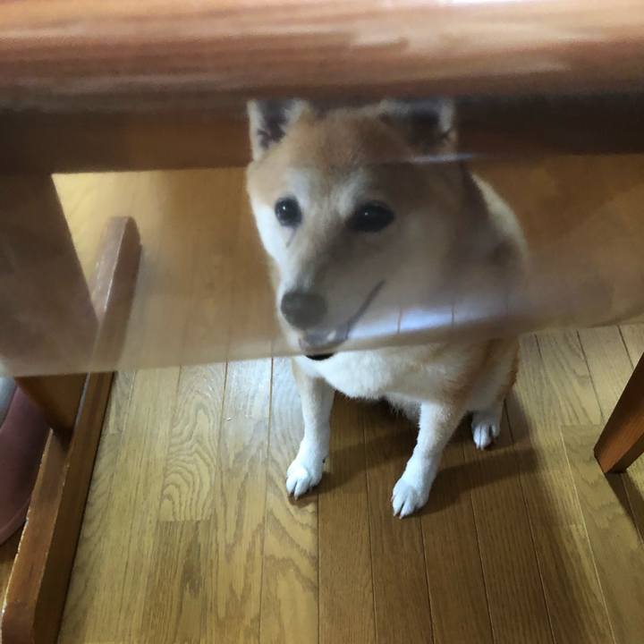 3cb62797 b5cd 4ae0 9c14 5bccd4b151b9 1596285891024