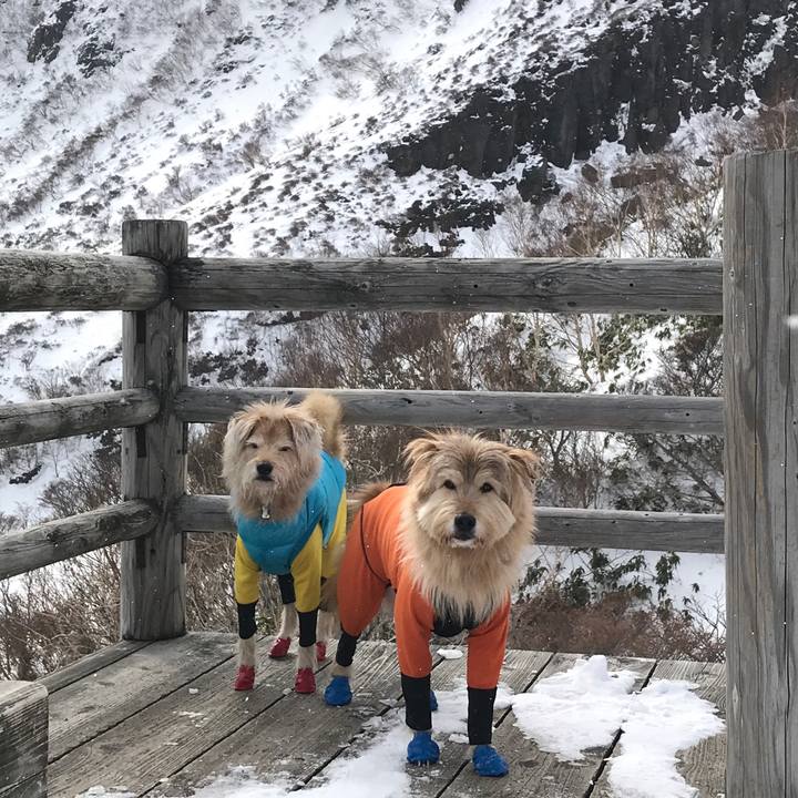 3cb63a8e 8071 465c bdc7 026ce45c1845 1547434174896