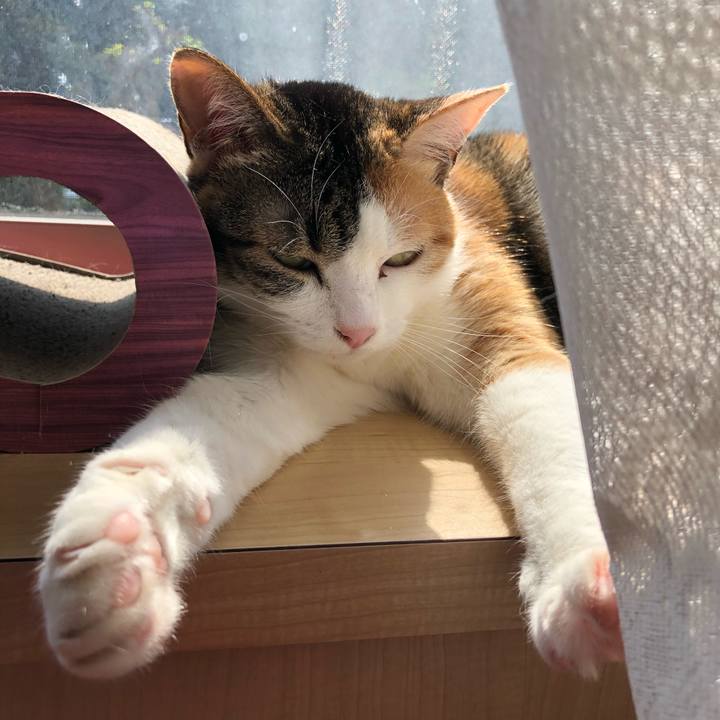 3cb63edc 444f 4a92 836b f507ce5d3ce3 1588138594201