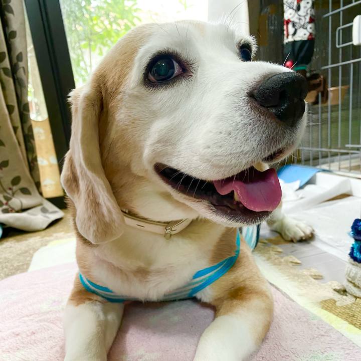 3cb648ee 7b25 479b 8bfd 0c7b30c6dd58 1630728027706