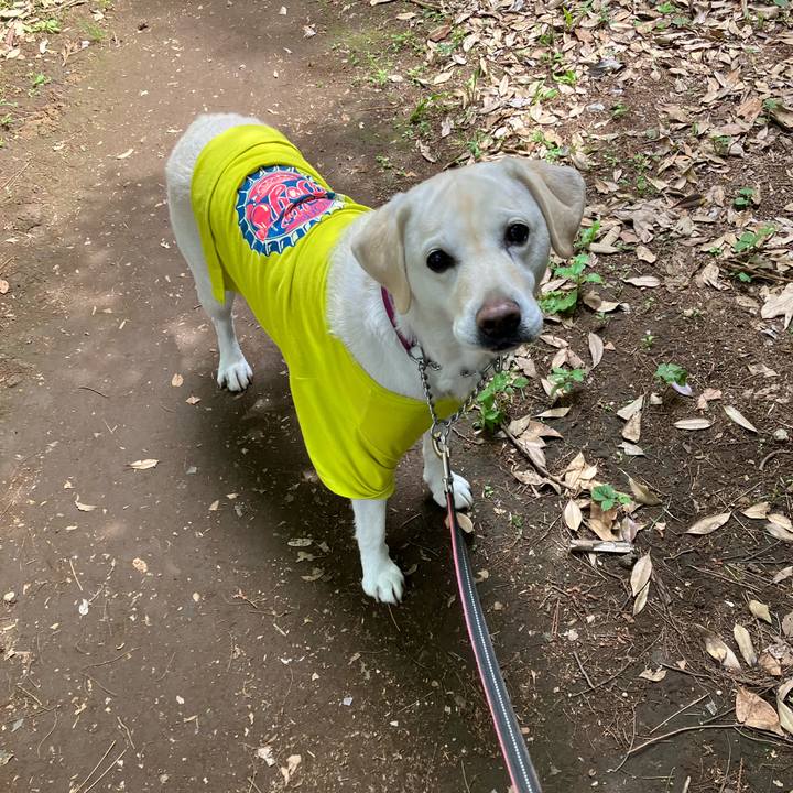 3cb65c36 d405 46c8 b69a 51a9d77d434f 1685082279587