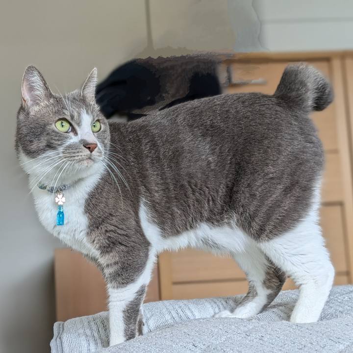 3cb68529 80f4 46eb 9ab8 01df912de087 1729989729386