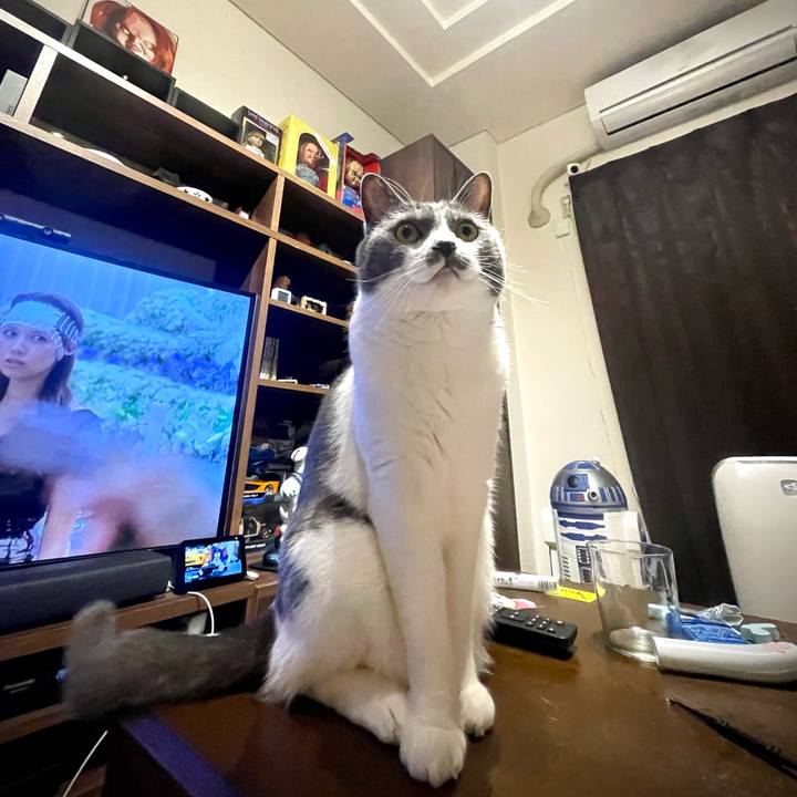 3cb69d15 f11b 4084 92ae 71ea25113bb1 1686657125829