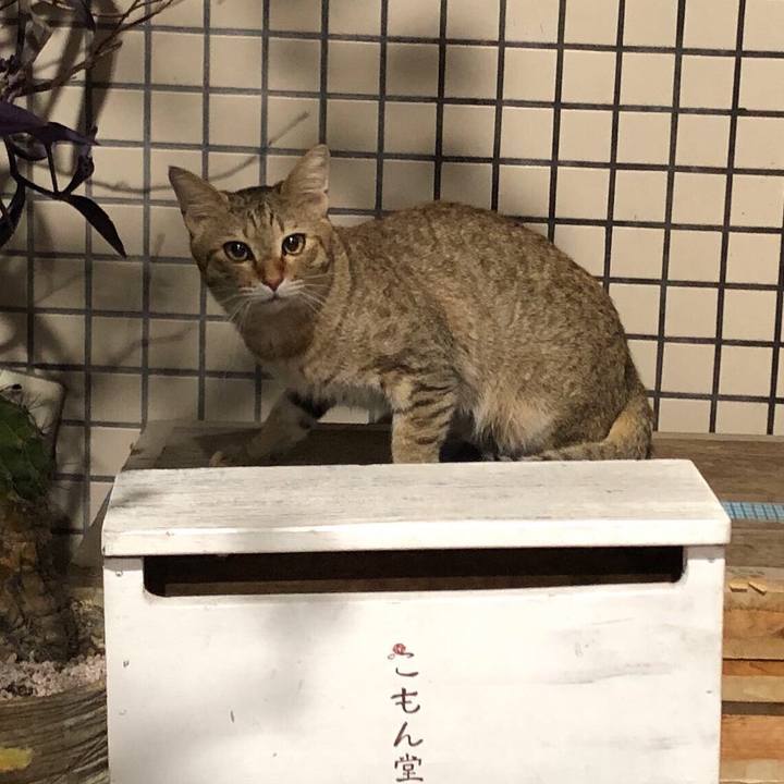 3cb6cb36 5ffa 43fd 8537 63b8f4b3f4d6 1579829361843