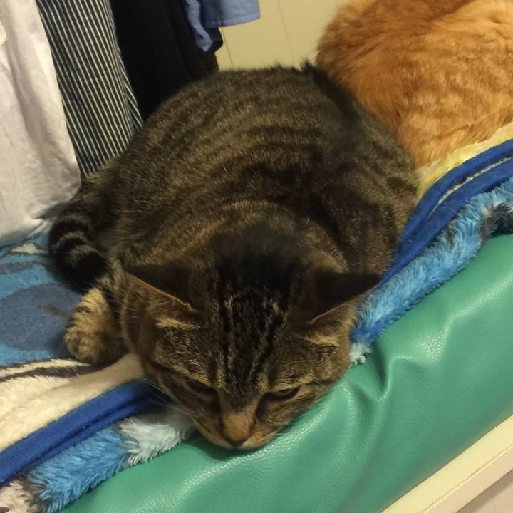 3cb6e463 5273 43ee a1a1 b9ad68e42c19 1562596205393