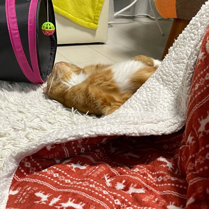 3cb6ee4b 206e 4f78 a566 6b945aa7e58a 1614954854150