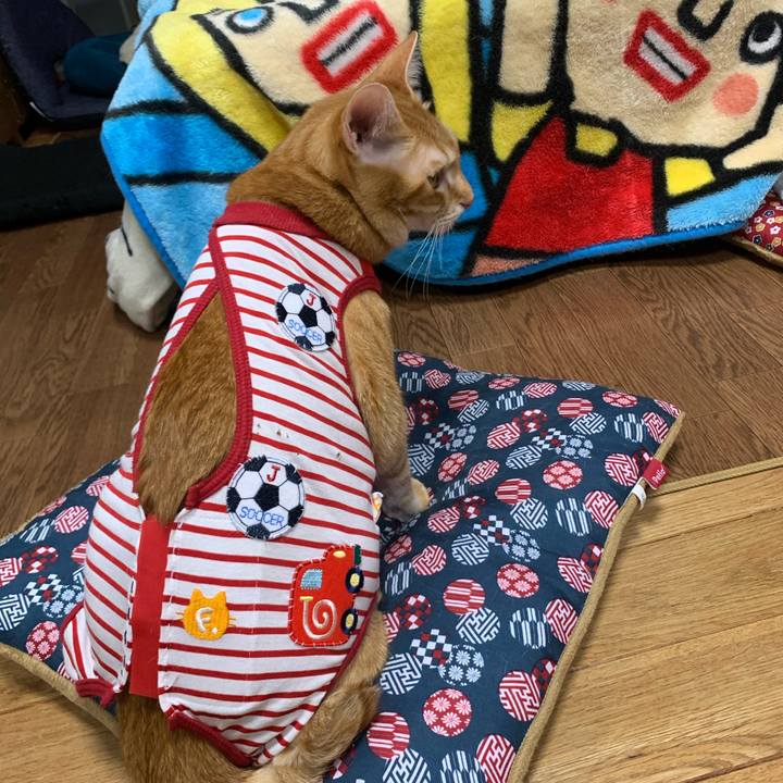 3cb70d72 d7fe 48ff 9710 82bca6d4732b 1576241368157