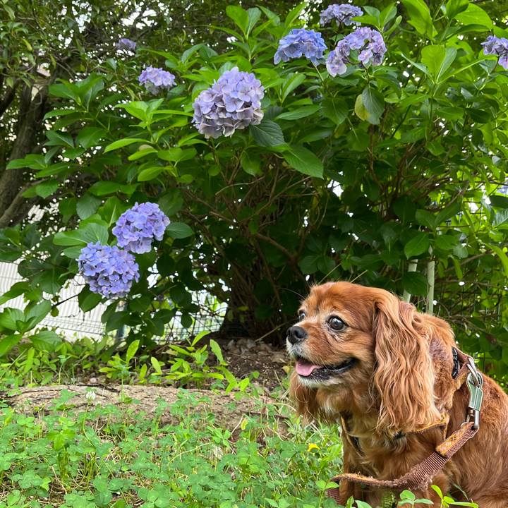 3cb717f1 75d4 4067 81de 68b8b472d85f 1688771151877