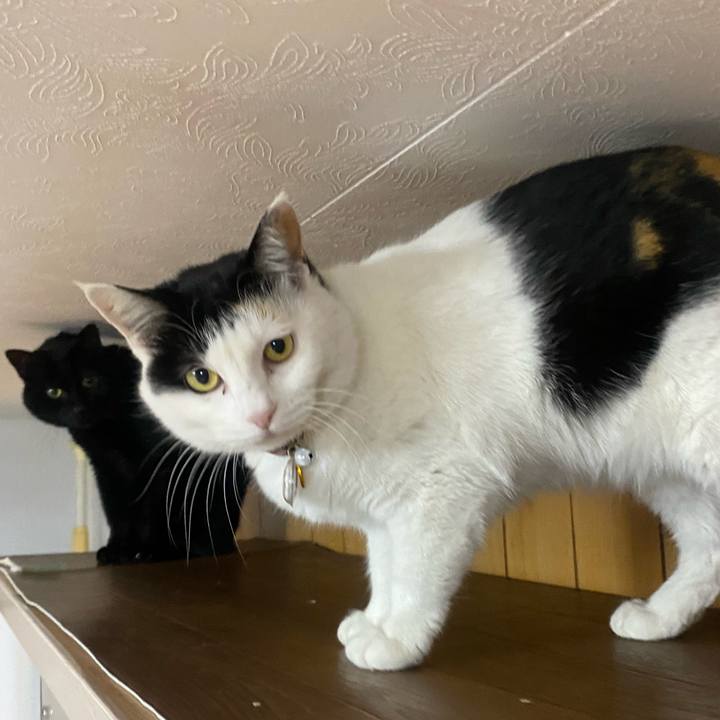 3cb718c3 f532 4972 85d9 4aa2b0a33dc6 1644616545692