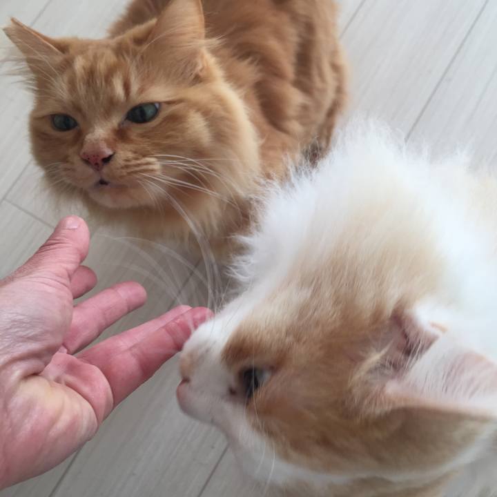 3cb750b8 f41f 4c68 9201 f13d2145fc3a 1519597464874