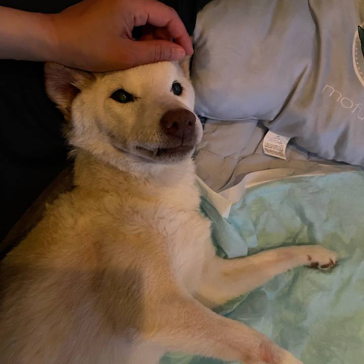 3cb76185 36ca 46e1 9c4f 8f0a7cc4495c 1680706728875