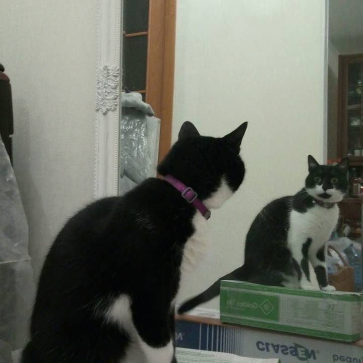 3cb78e6f 8270 4a94 a60d c8129952ed1f 1511288931355