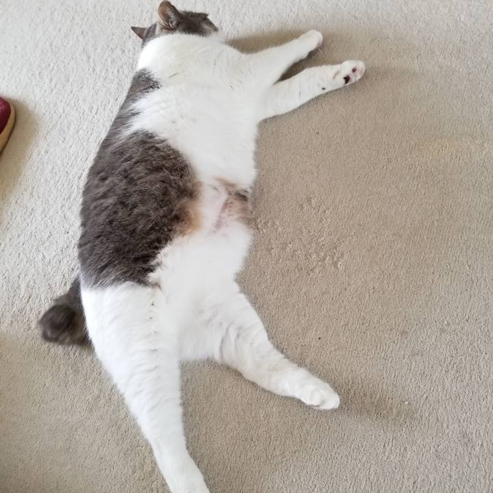 3cb793c7 0ce8 499b 81cb 40f1397fad2a 1631016116480