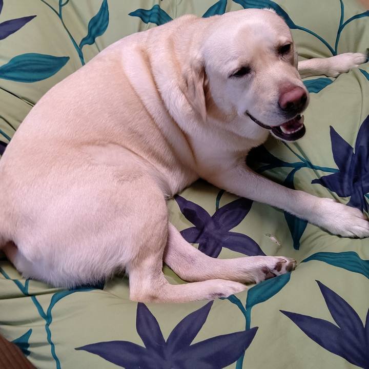 3cb7a2de 8cce 4e04 8cd7 c61dd7e11f5b 1594792046067